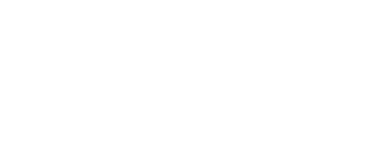 LopesHost